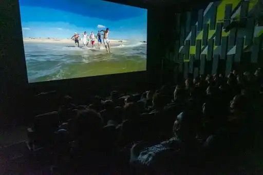 Technische ondersteuning nieuwsbrief