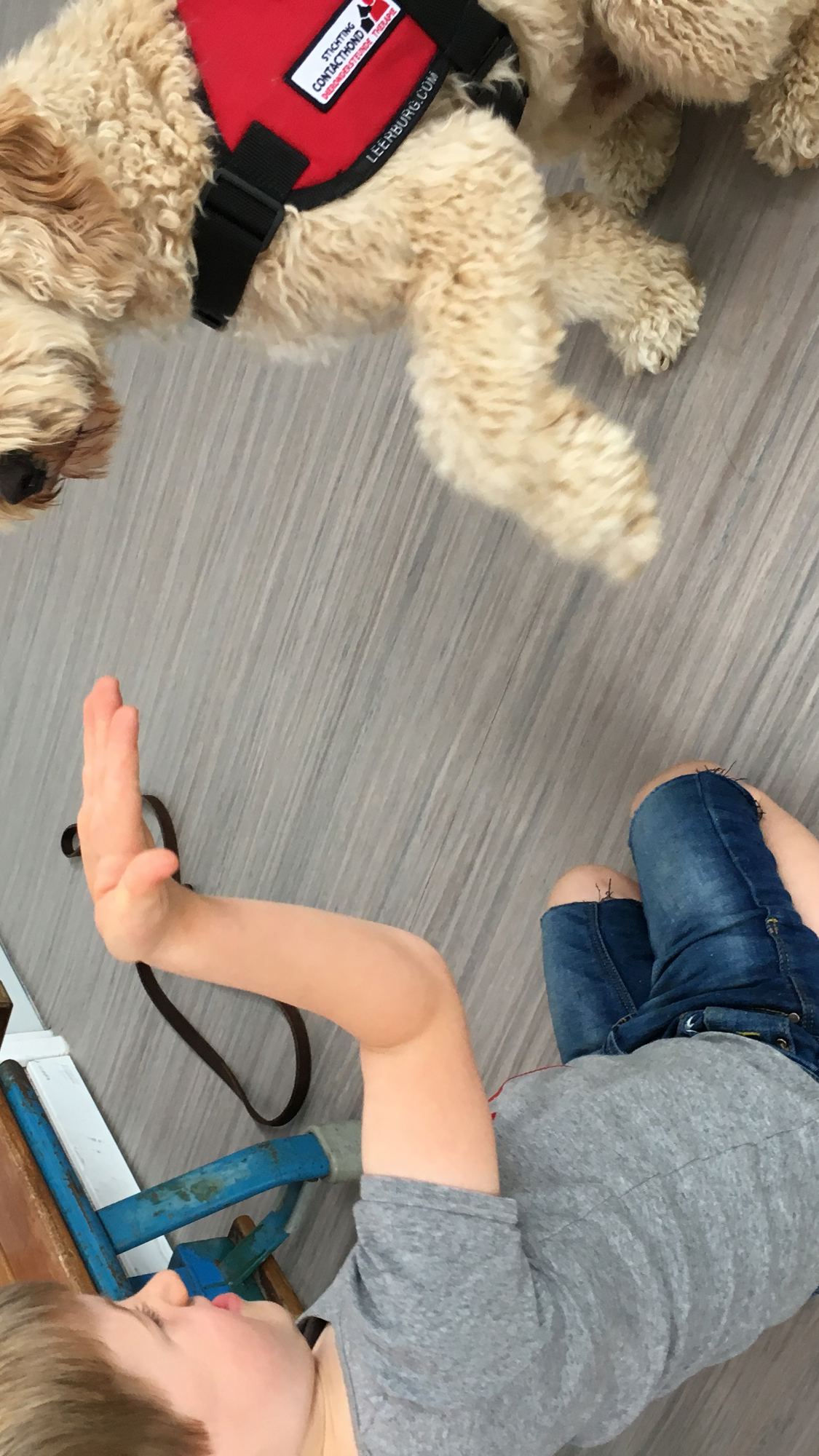 Stichting Contacthond