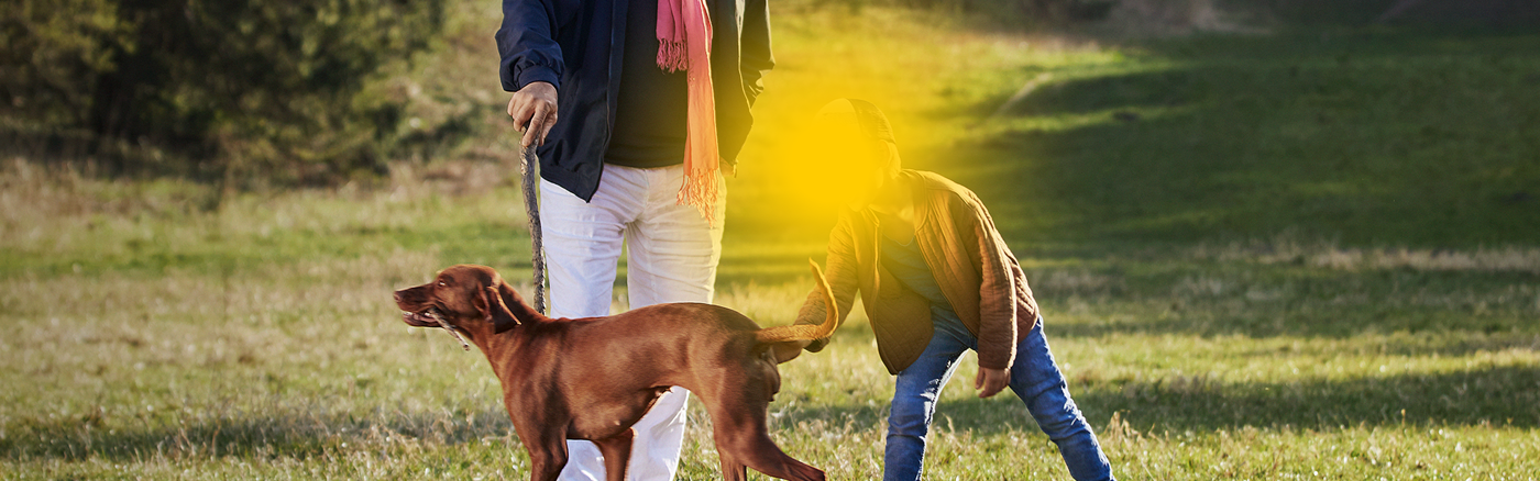 Creatief campagne concept met Hans Kazan