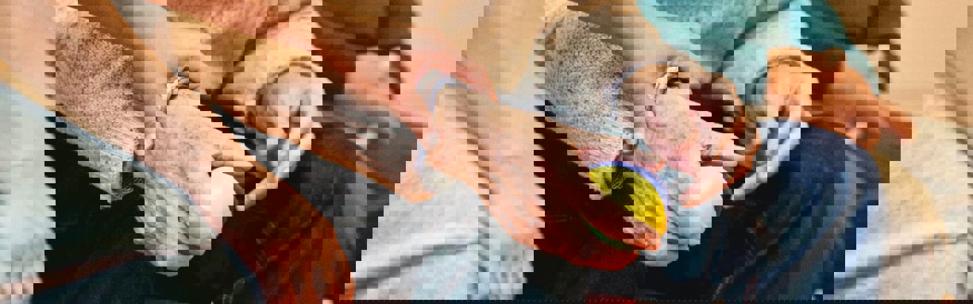 Strategisch advies over Social Media