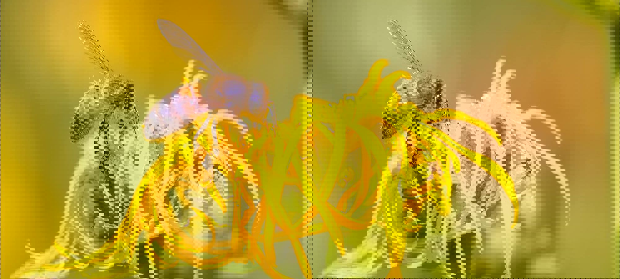7ddbd58d-2cad-4898-bd0b-65174aa7b358
