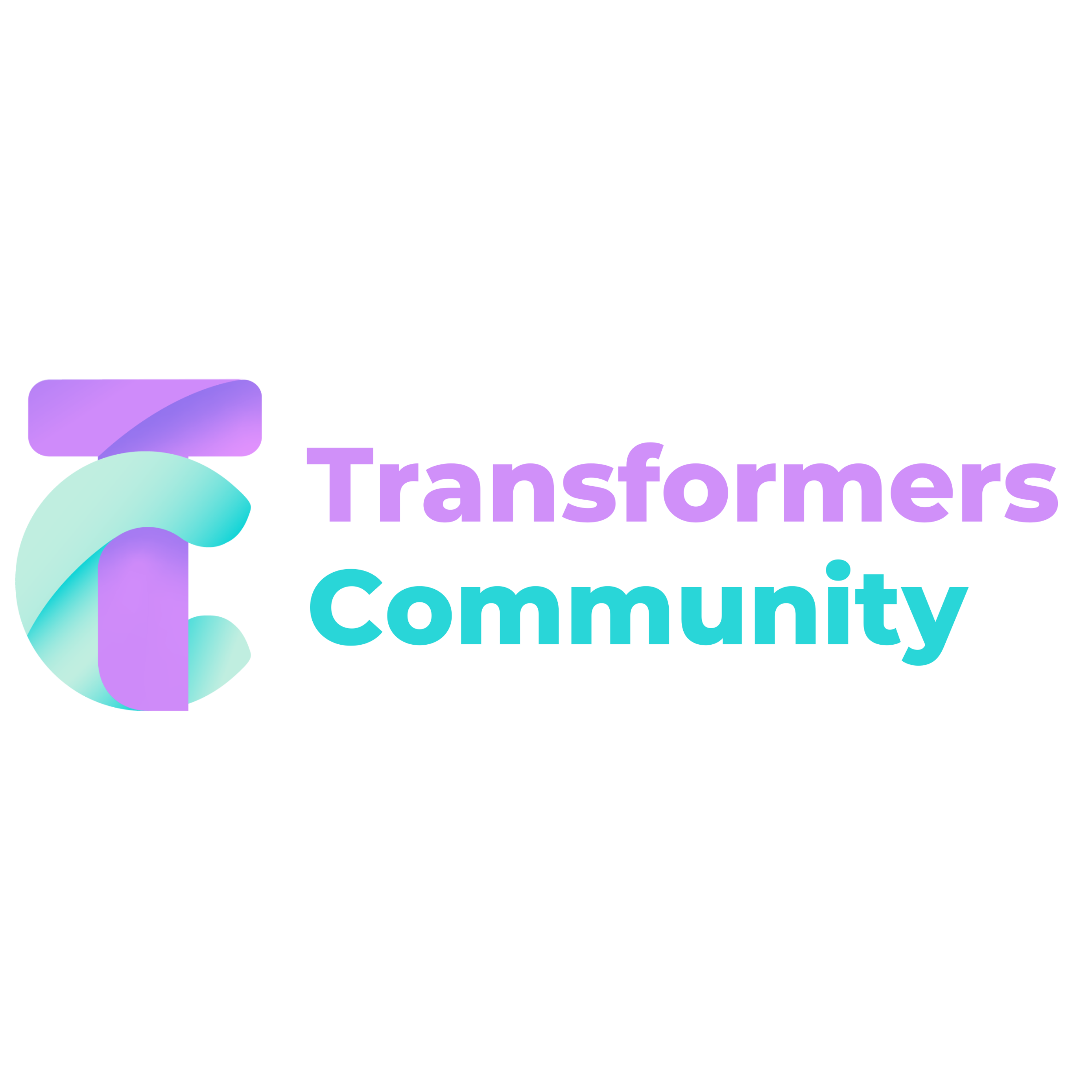 Stichting Transformers Community