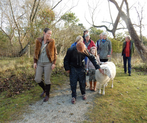 Stichting Gezond Natuur Wandelen