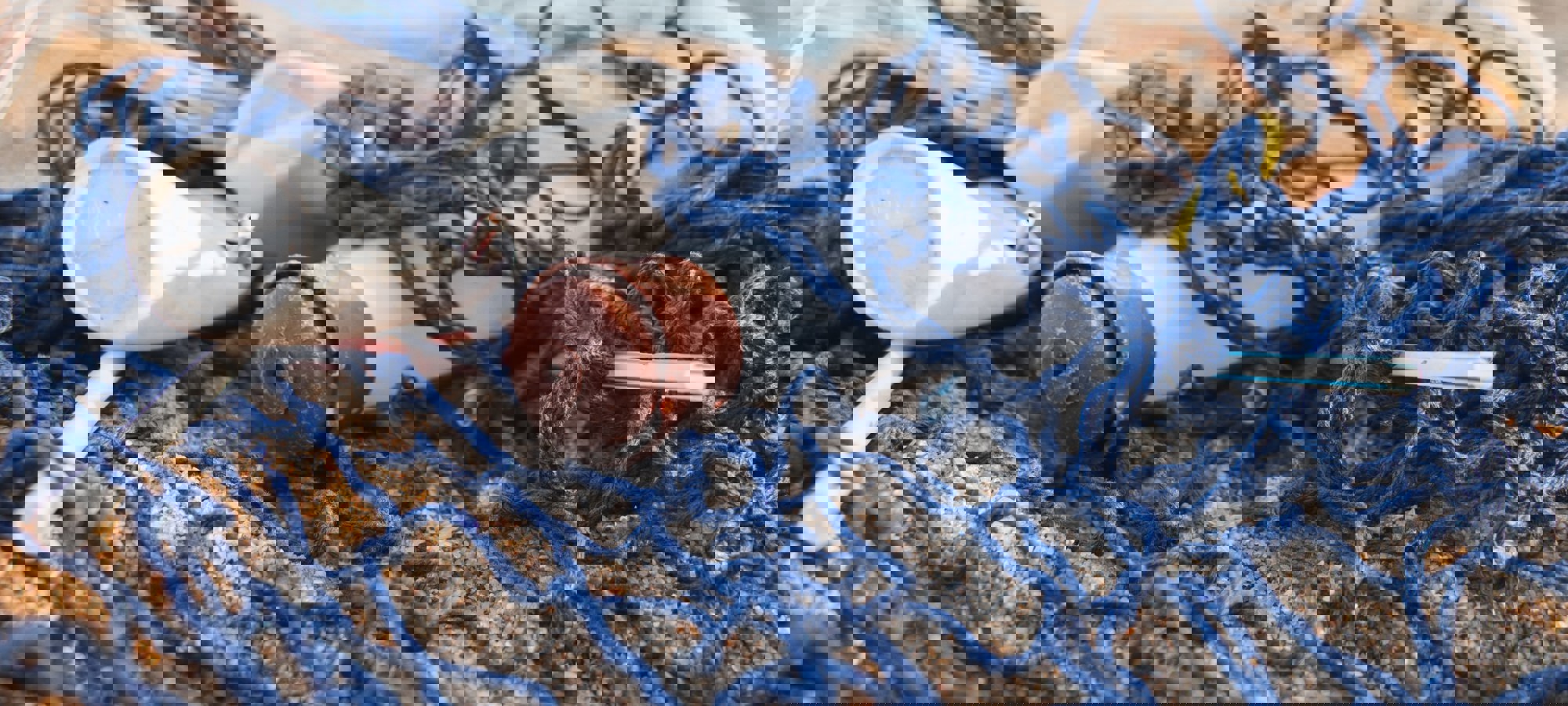 Angela Compagnone G1xoexbfutw Unsplash