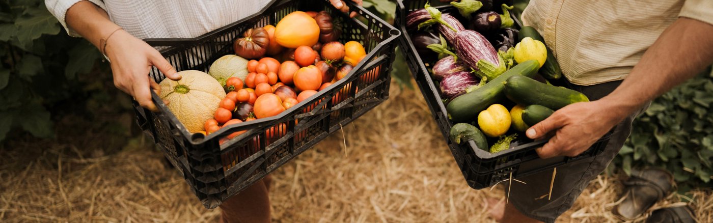 Social Media Templates Voor Le Rêve de Gaïa