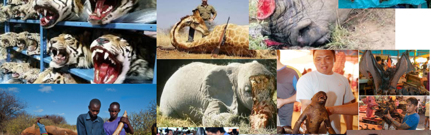 Storytelling webteksten