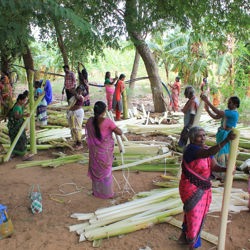 Onderzoek bananenvezels India