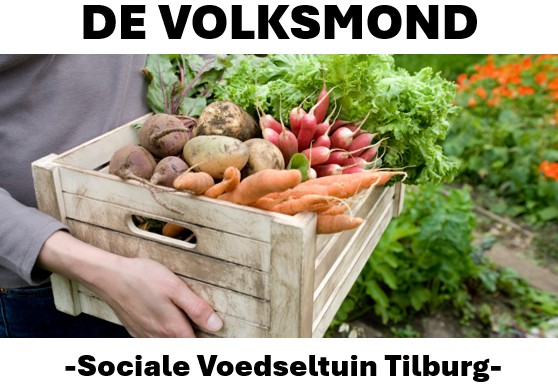 Logo ontwerp voor De Volksmond