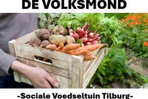 Logo ontwerp voor De Volksmond