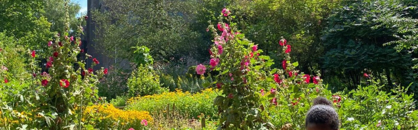 Handboek structureren 