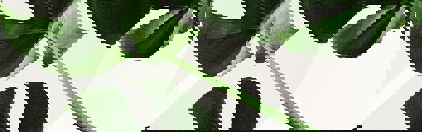 Flexibele Social Media ondersteuning