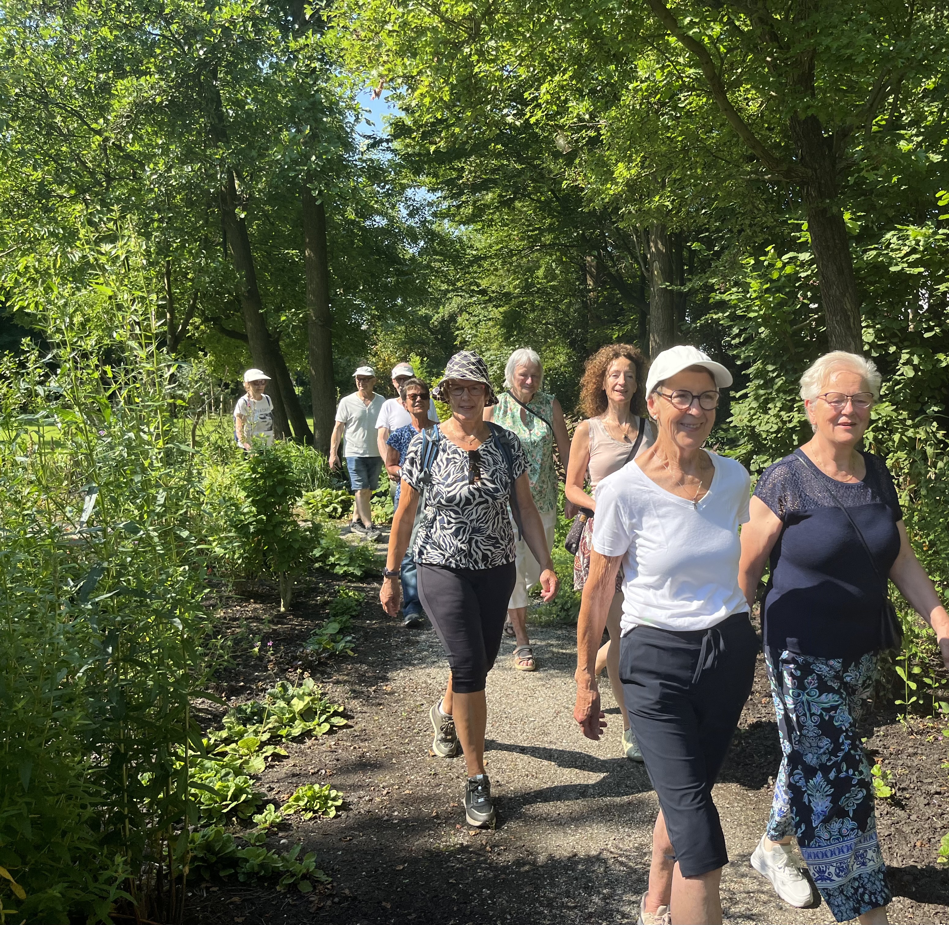 Wekelijkse Social Media Post Creatie