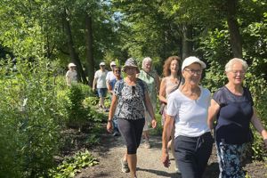 7-12 social media posts over gezond wandelen