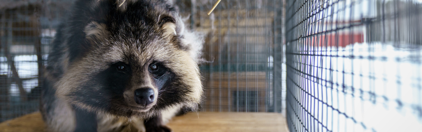 Social media campagne