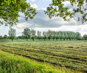 LandschappenNL