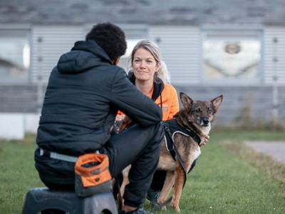 1 artikel met foto's over Dutch Cell Dogs