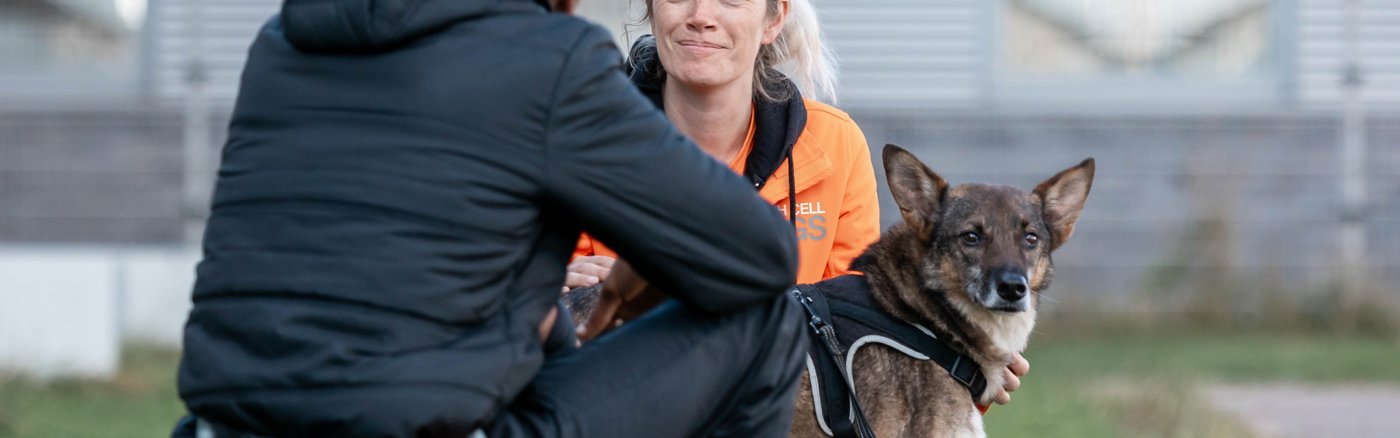 1 feelgood verhaal over trainer en hond