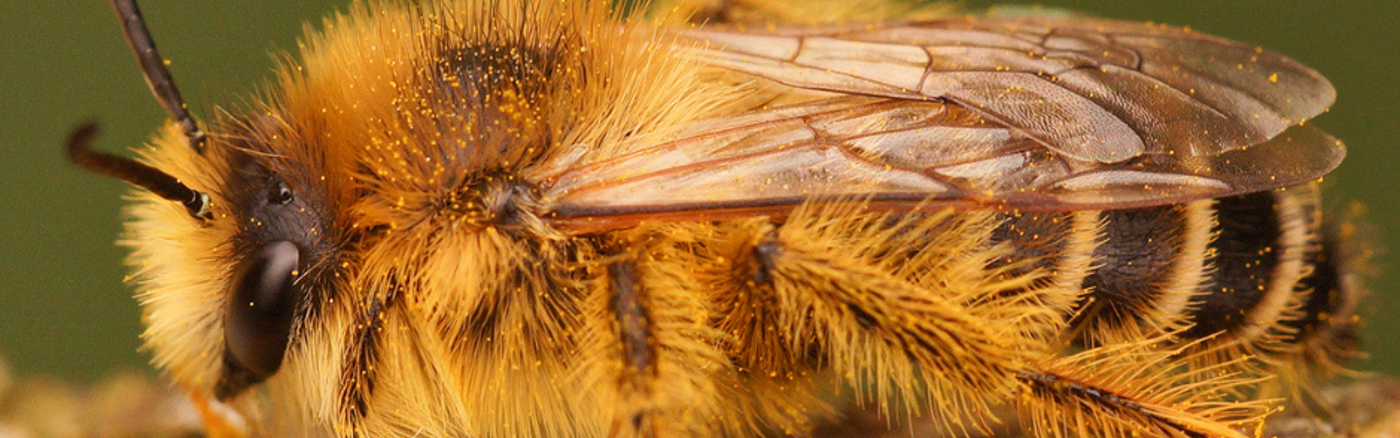 Strategische sessies: Partnerships 