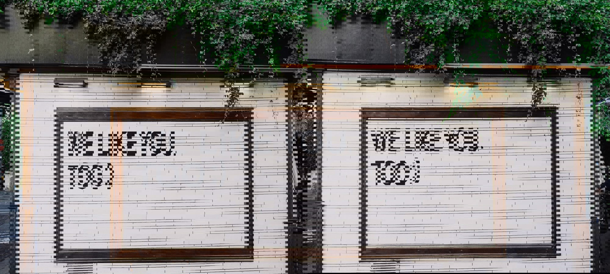ccaa82ba-50b0-4b7d-823c-b5e77207d670