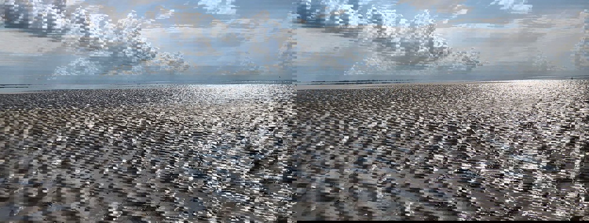 Dc615213 0831 4395 B2d5 4Ddd9bfe9b5d
