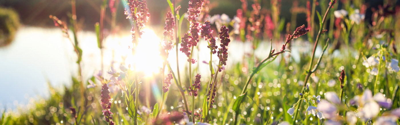 Fondsenwerving audit