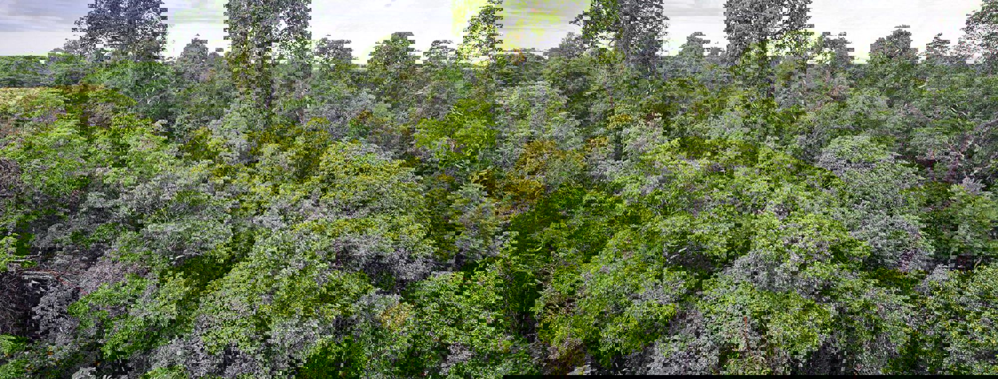 1258e00e-9675-4824-9f17-0318d9703198