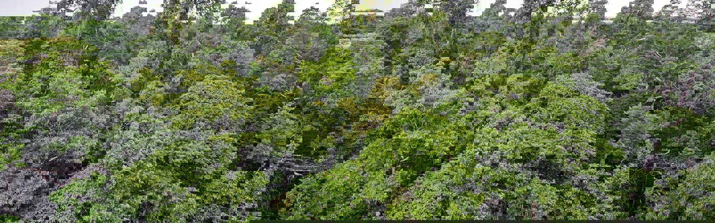 Ondersteuning webshop beheer 