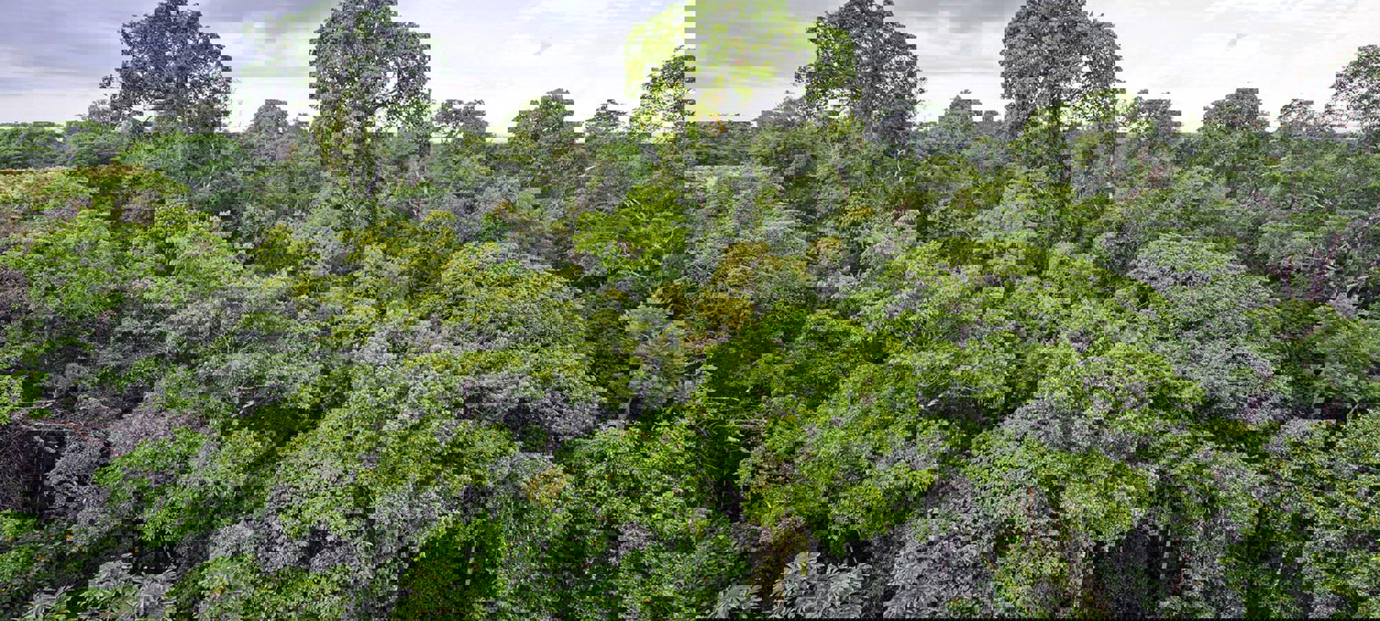 1258e00e-9675-4824-9f17-0318d9703198