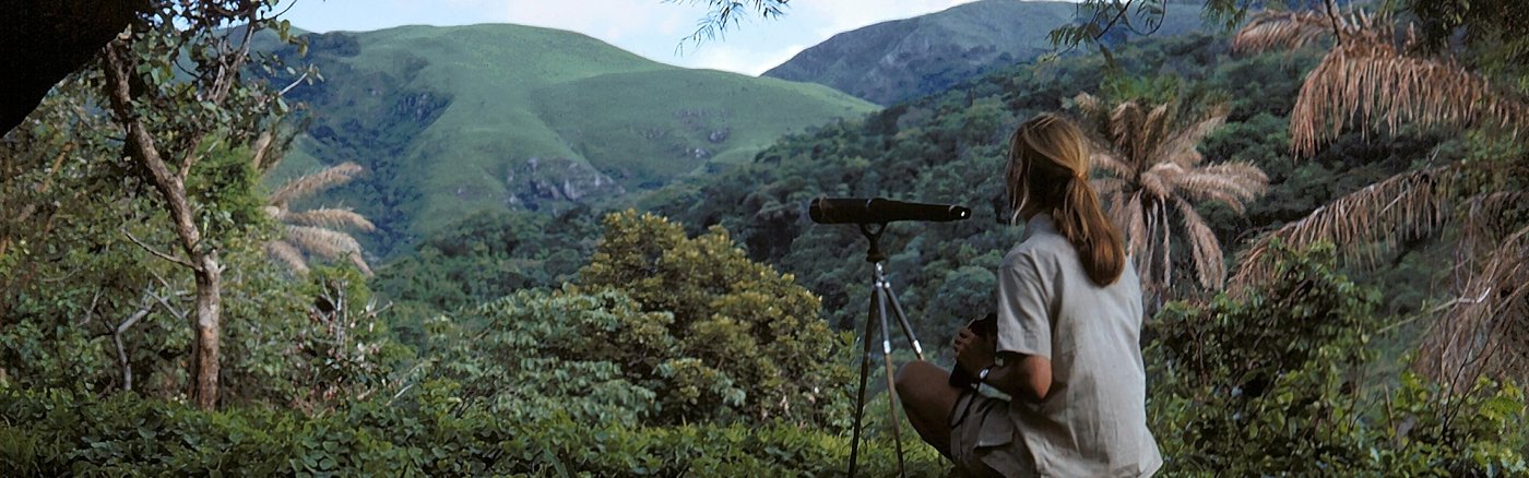 Website content update