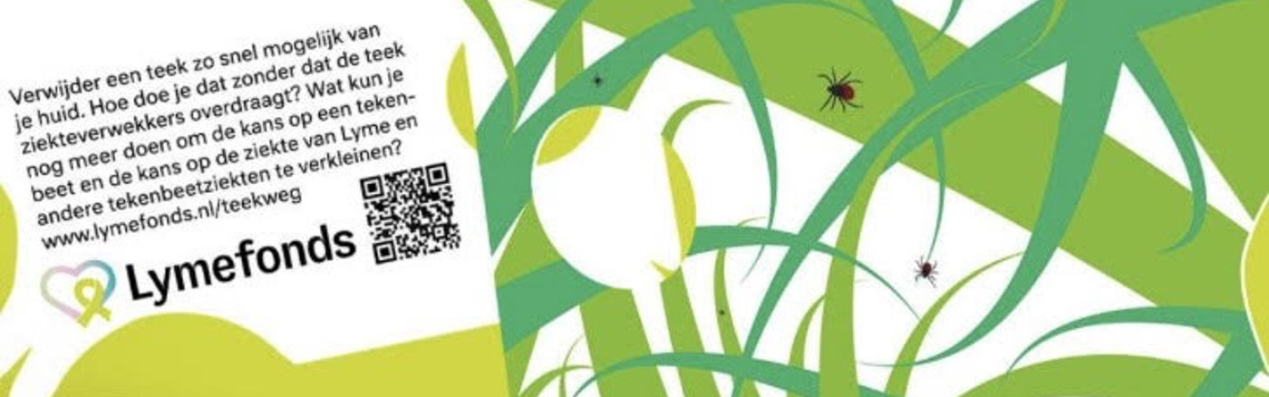 Adverteren in Google