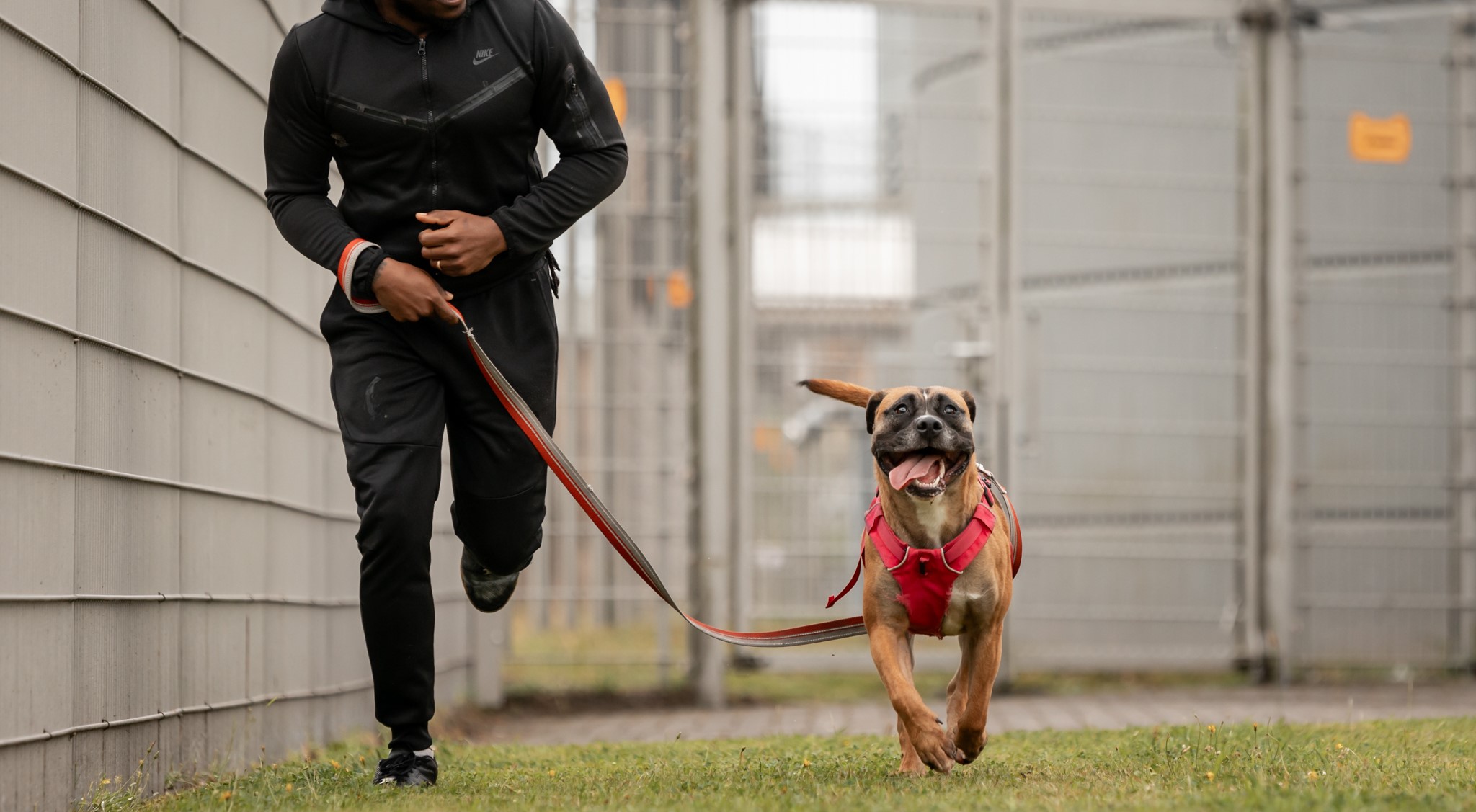 5 korte social video's over het werk van Dutch Cell Dogs
