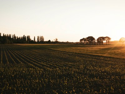 Vrijwilligerswerk in Hengelo