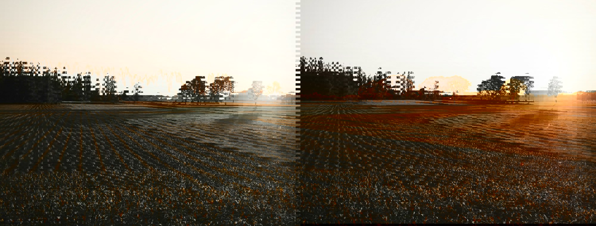 Rosan Harmens Bb2x55kofum Unsplash