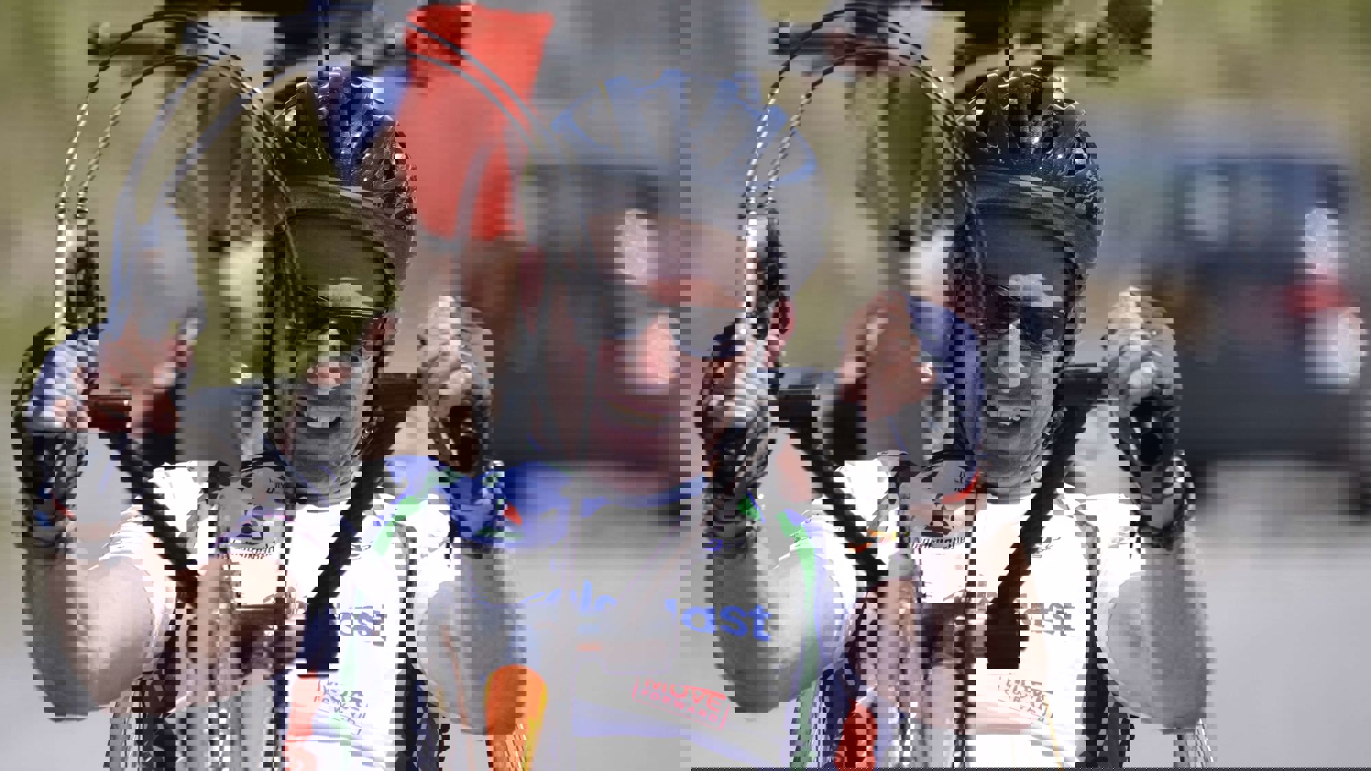 Dwarslaesie Organisatie Nederland