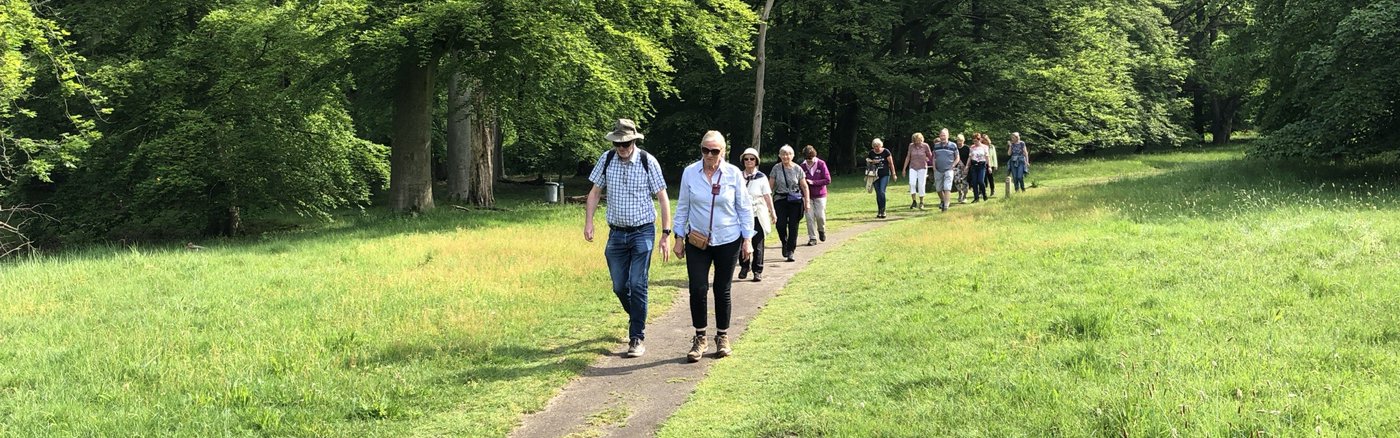 Strategisch advies over Werving & Selectie