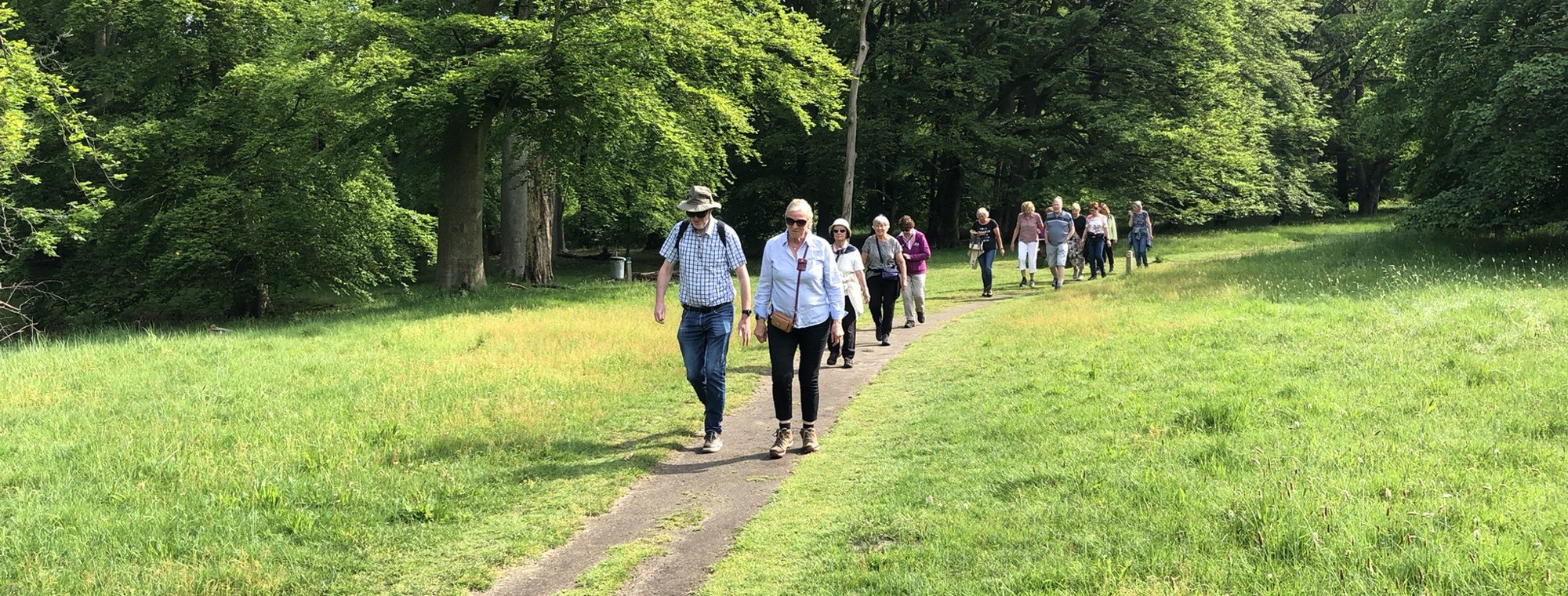 Stichting Gezond Natuur Wandelen-photo (1)