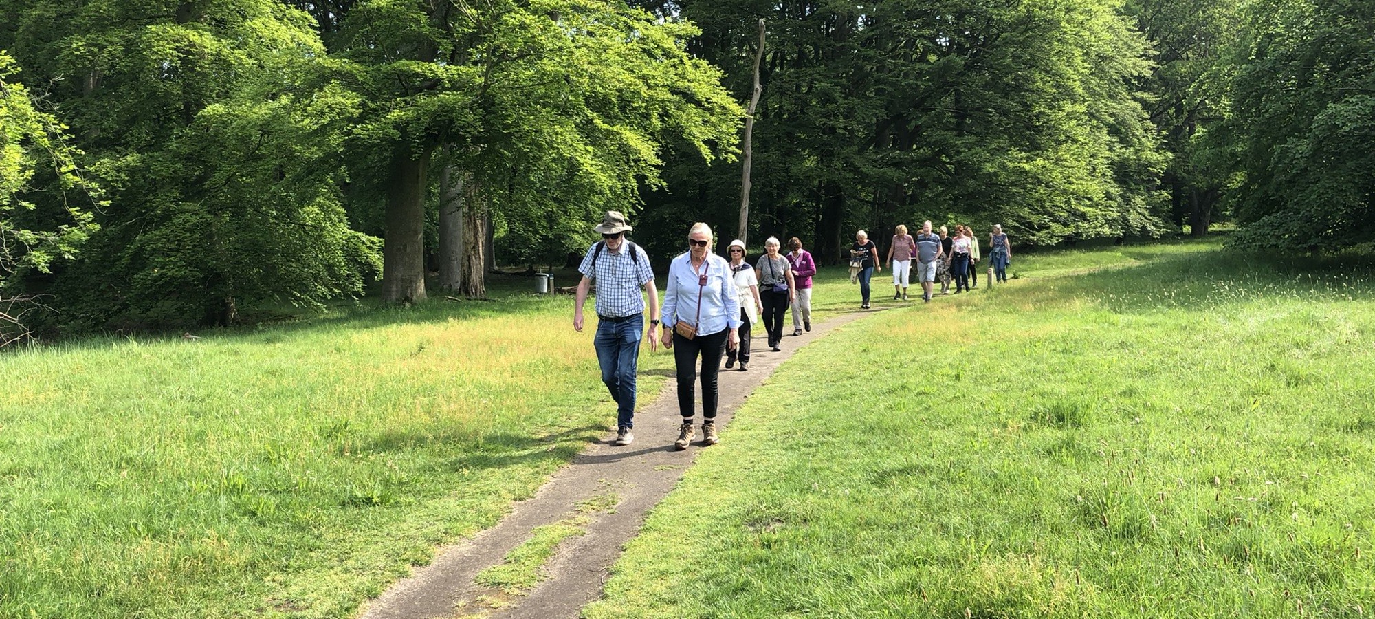 Stichting Gezond Natuur Wandelen-photo (1)