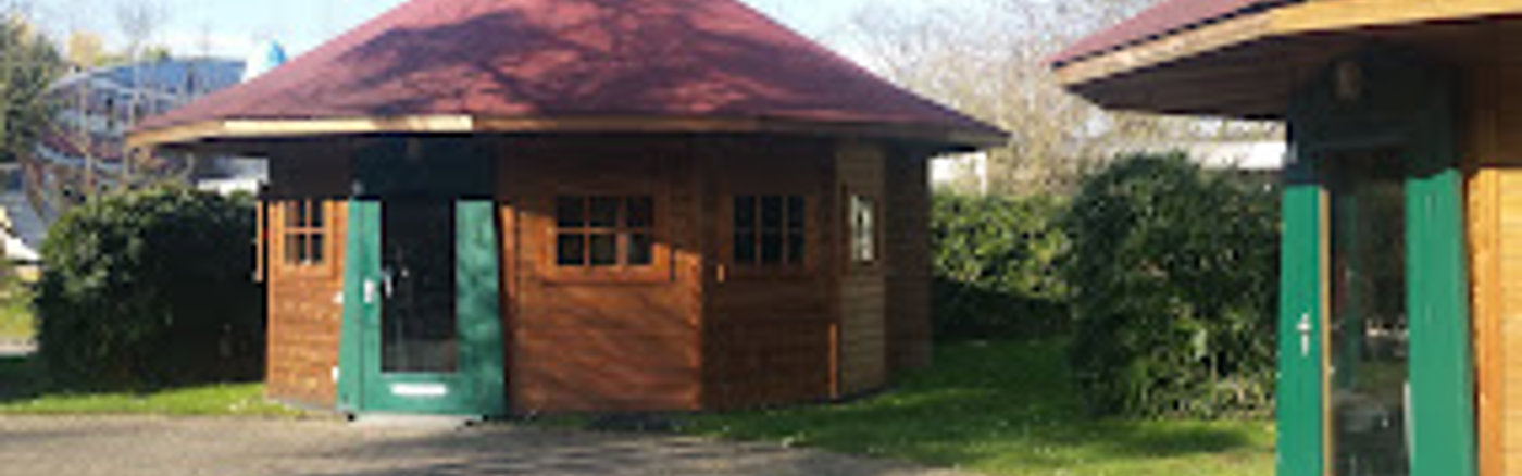 Advies over verzekeringen