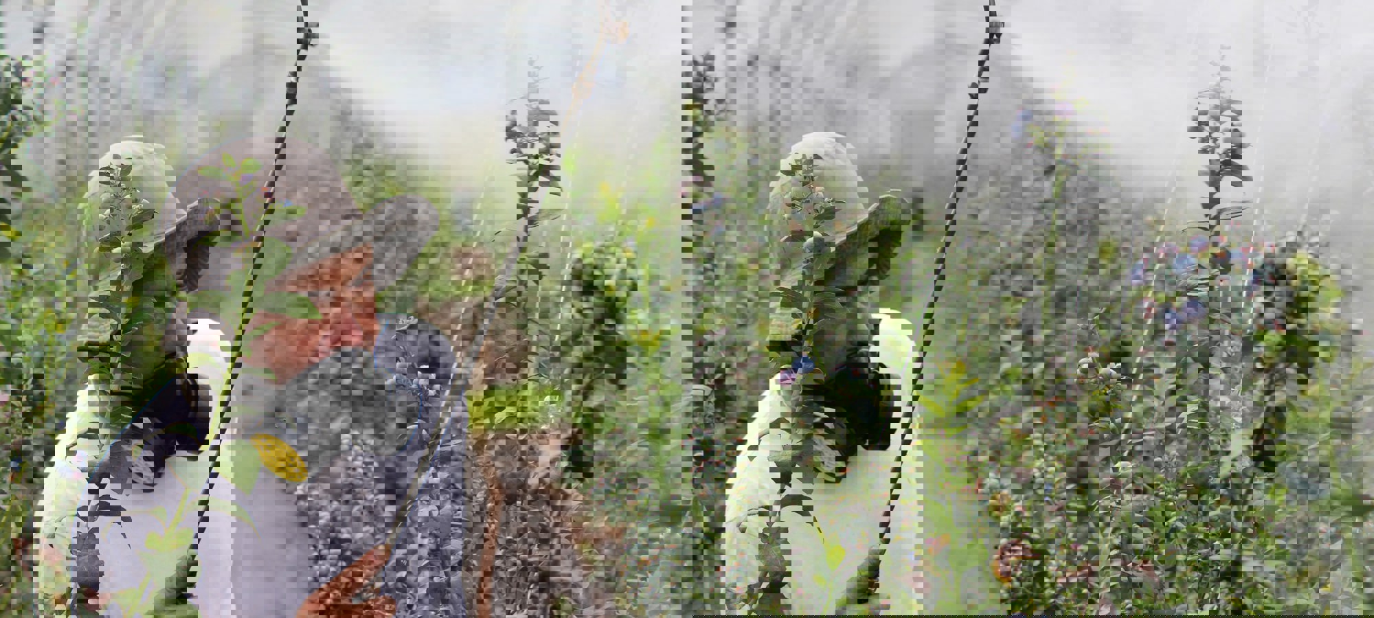 703a7364-73e6-4224-b9c0-e285f40468ce