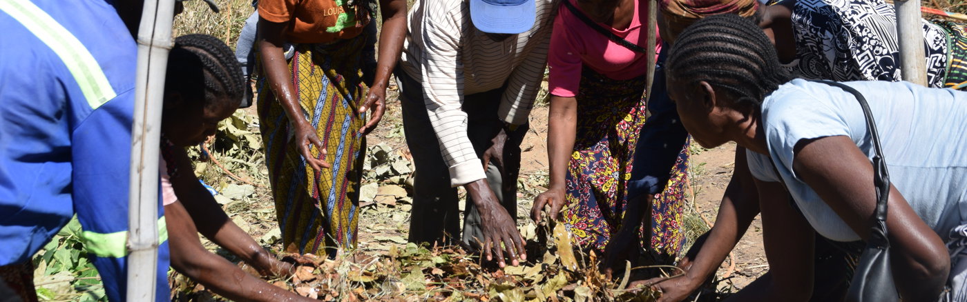 Website content update