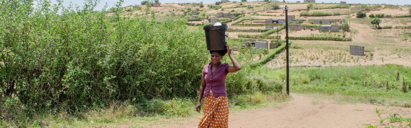 Bedenk en ontwerp een kerstcampagne