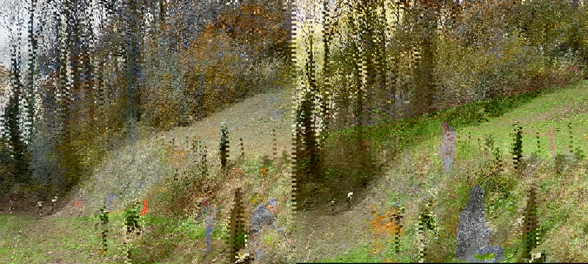 d1e7c3f0-da6f-4bb0-8c3d-4a9e51d1b40f