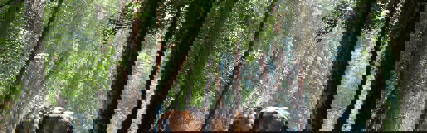 Project management ondersteuning