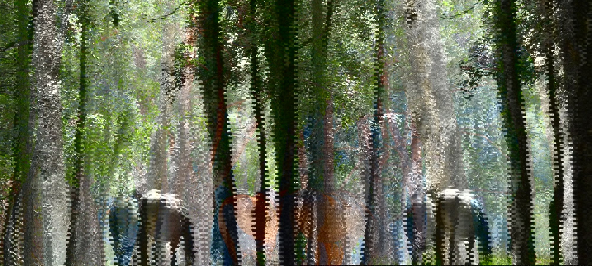 Elly Kelders Hcfftrd0ywc Unsplash
