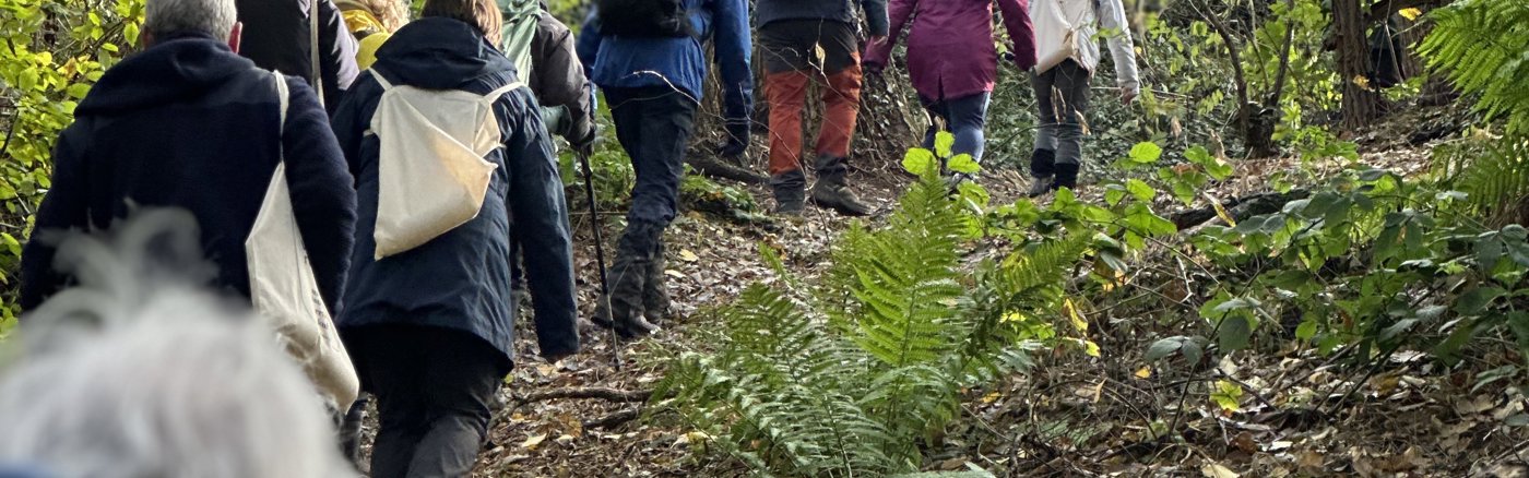 Strategisch advies over Social Media