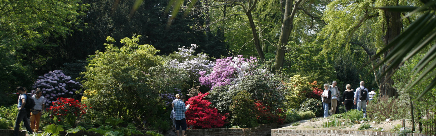 Adverteren in Google met Google Grants