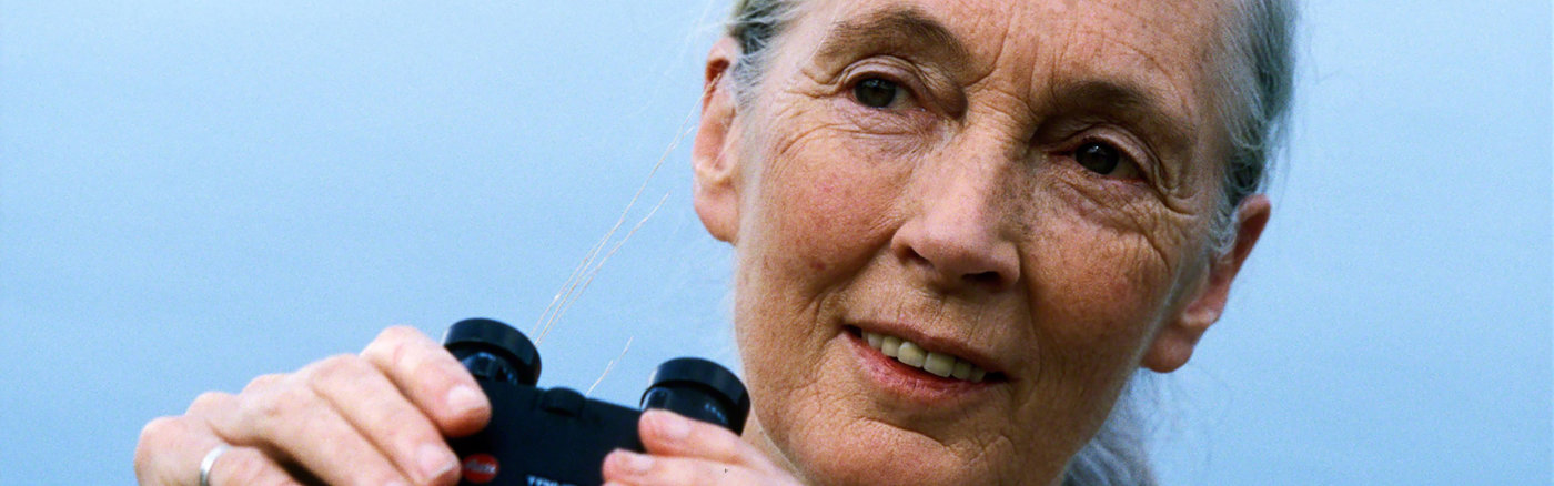 Ontwerp eindejaarscampagne 