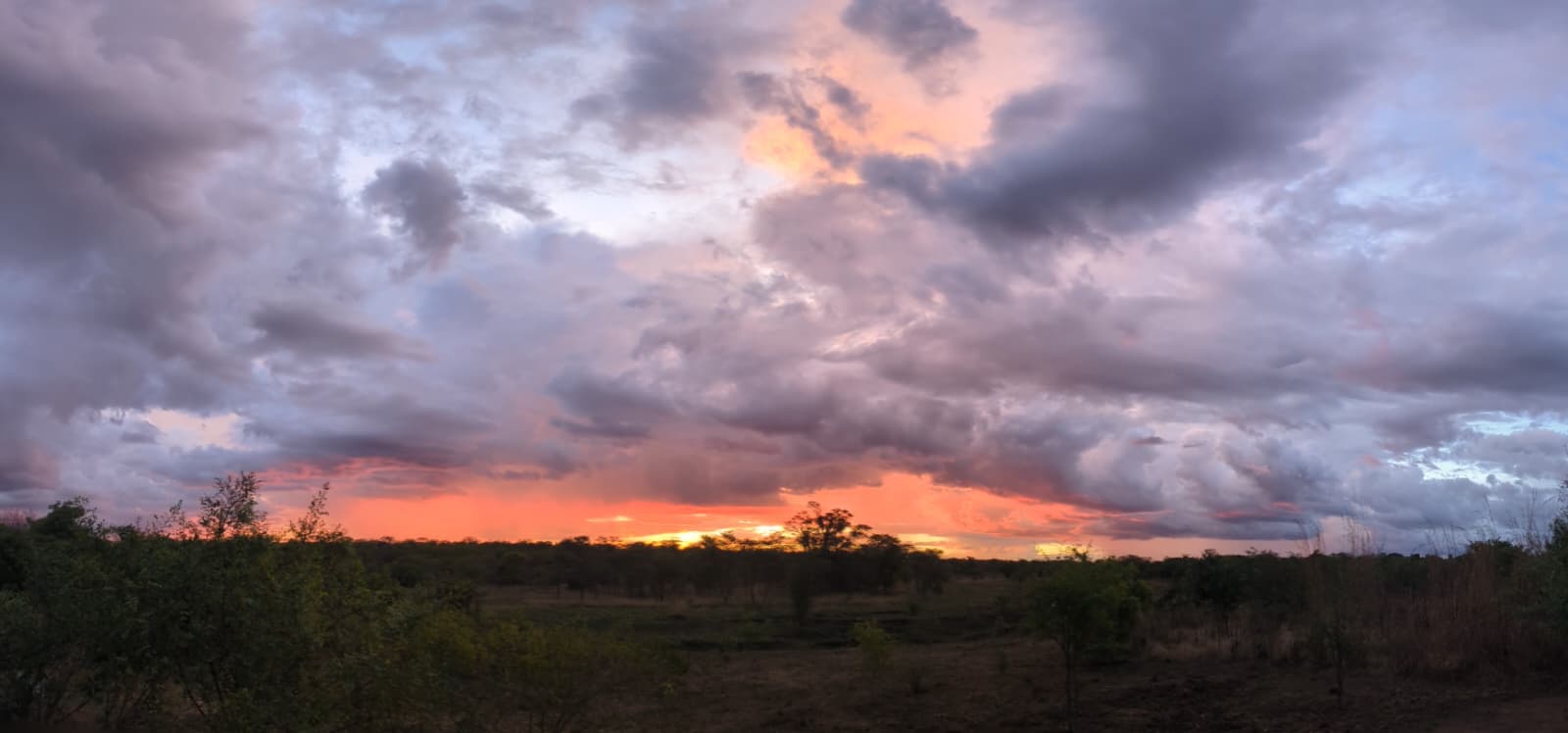 Profieloptimalisatie op 3 platforms