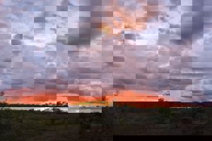 Profieloptimalisatie op 3 platforms