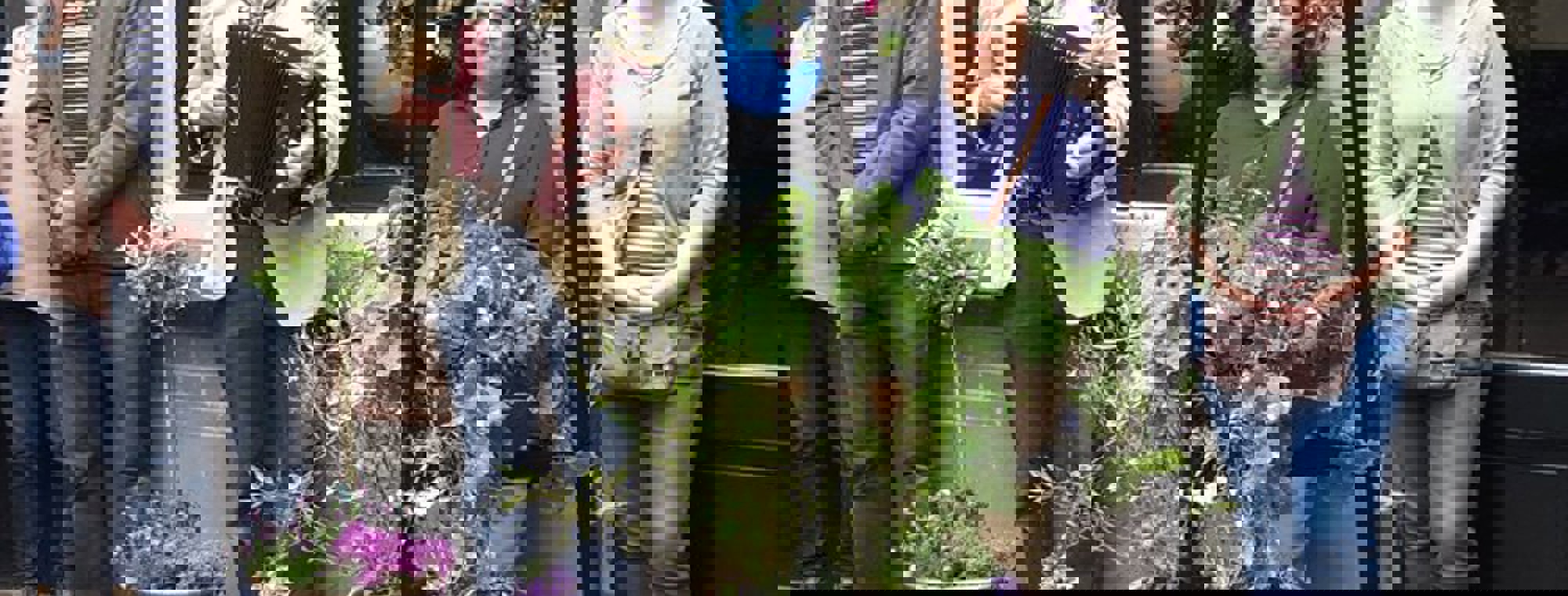 Thedingsweert 2